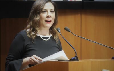 NARCOMENUDISTAS SERÁN LOS MÁS BENEFICIADOS POR LEY DE AMNISTÍA Senadora advierte