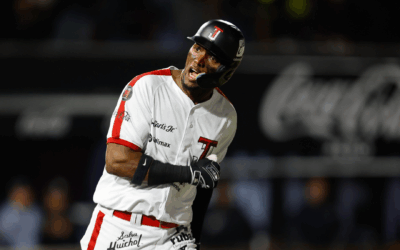 TOROS A LA MITAD DEL CAMINO INVERNAL